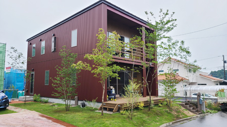 木を沢山 植える庭