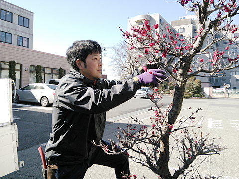 play green 代表 佐野岳志